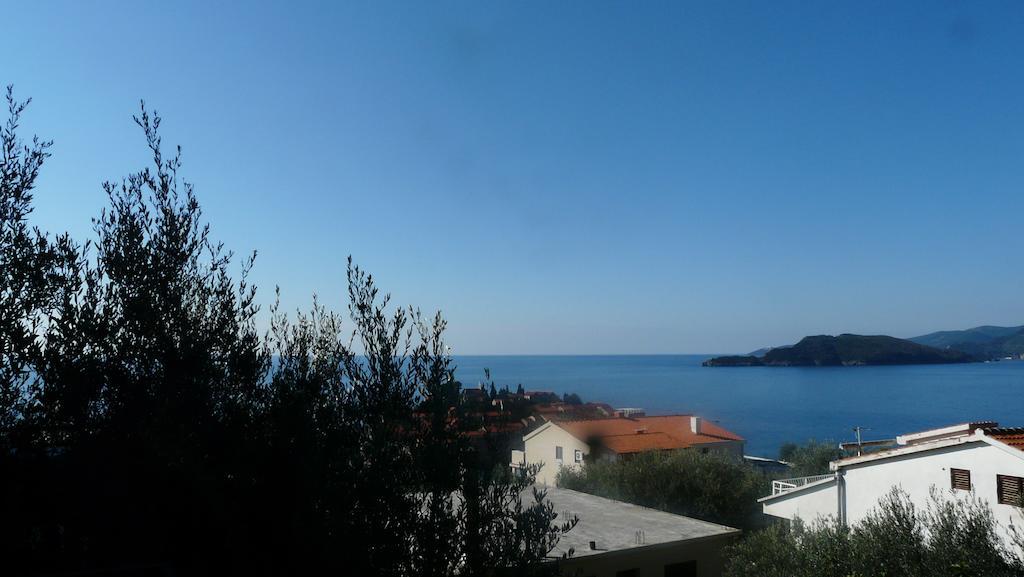 Guest House Zivkovic Sveti Stefan Exterior foto
